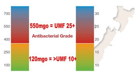 comparaison MGO et UMF - miel de manuka